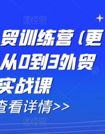 AI闪电做外贸训练营(更新25年2月)，从0到3外贸万人实战课