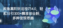 闲鱼高阶玩法技巧4.0，轻松日引300+精准创业粉，多种变现思路