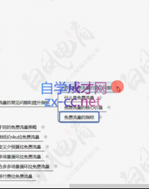 白凤电商·拼多多日销千单训练营(更新4月)