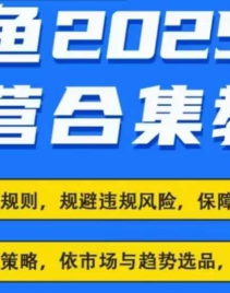 2025闲鱼电商运营全集，2025最新咸鱼玩法