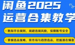 2025闲鱼电商运营全集，2025最新咸鱼玩法